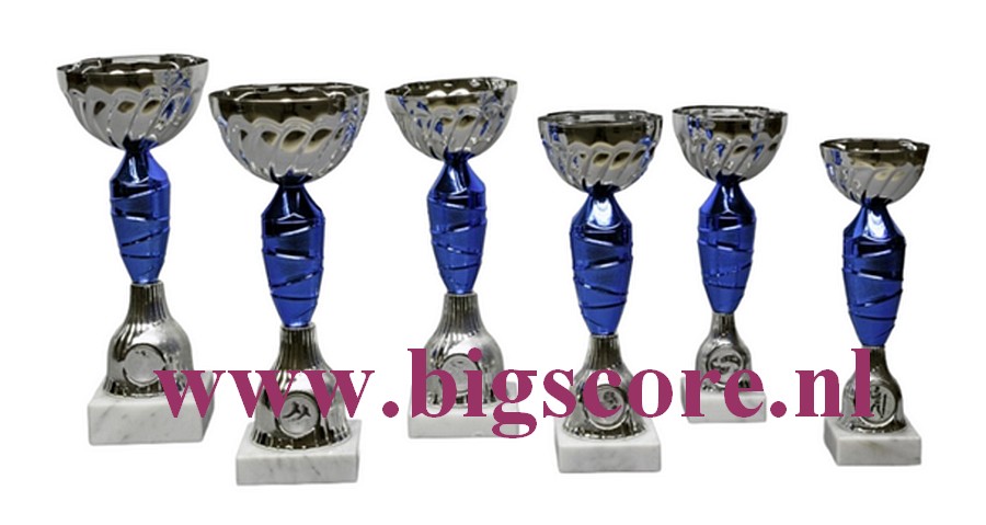 Z 616 Beker Blauw-Zilver 6 Delig